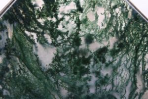 thin slice of moss agate in a precious box