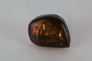 ammolite polie du Canada