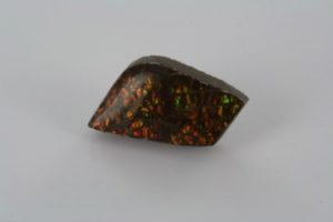 polished ammolite from Canada