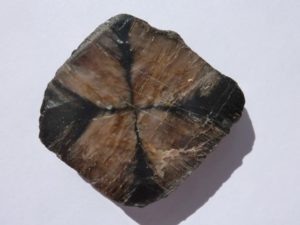 chiastolite of China