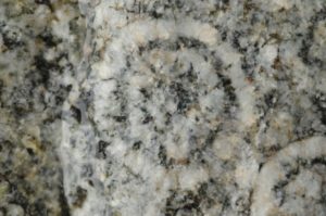dettaglio di diorite orbicolare della Corsica