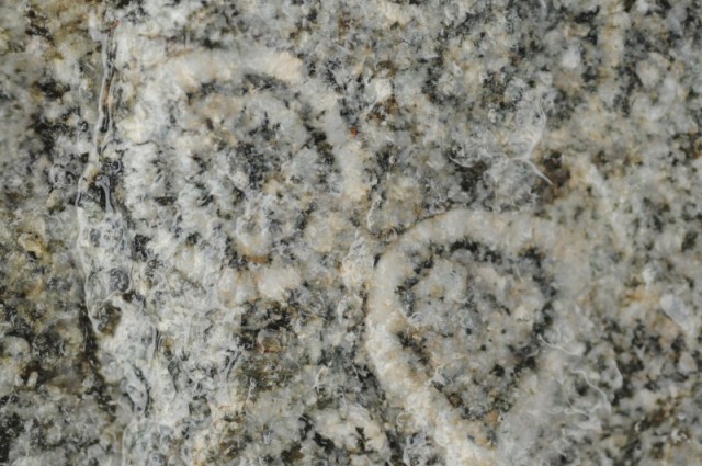 diorite orbiculaire de Corse