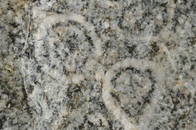 diorite orbiculare della Corsica