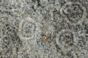 orbicular diorite from Corsica