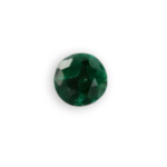 euchroite verte de Slovaquie