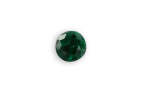 euchroite verte de Slovaquie