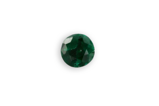 euchroite verte de Slovaquie