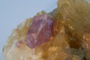 cristal de hackmanite sur winchite d'Afghanistan
