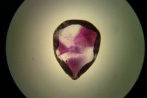 stained - type inclusion characteristic amethysts