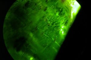 inclusioni di tipo liquido - gassoso in diopside cromifera Russa