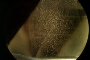 liquid type inclusions, healing fissure in fingerprint shape