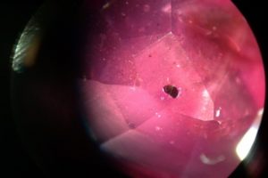 solid like inclusions : rutile