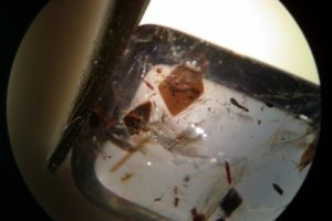 solid like inclusions : mica