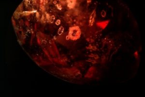 inclusions de type solide avec cernes : apatite ou albite