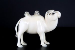 bactrian camel in ivory