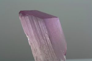 cristal de kunzite rose soutenu d'Afghanistan