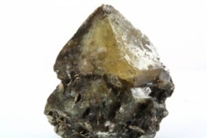 mellite crystal from Hungary