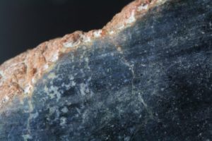 néphrite bleue de Cowell en Australie