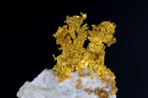 gediegen Gold, kristallisiert, aus Kalifornien, USA