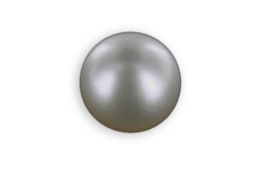 silver color pearl from Lombok in Indonesia