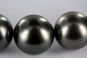 gray cultured pearls of Tahiti