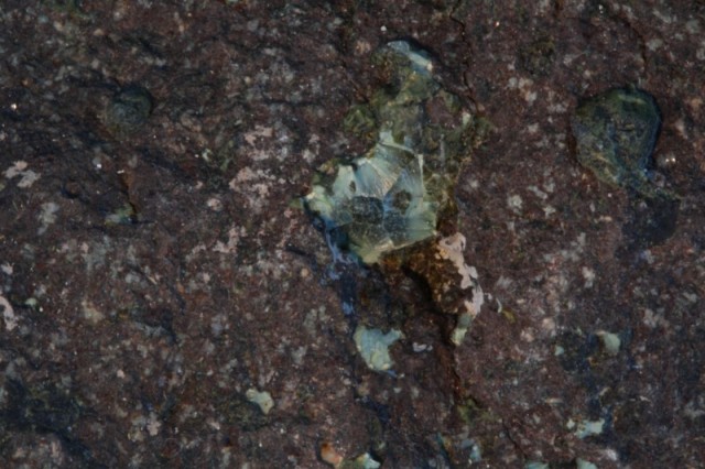 pumpellyite from Lake Superior in Michigan in the U.S.