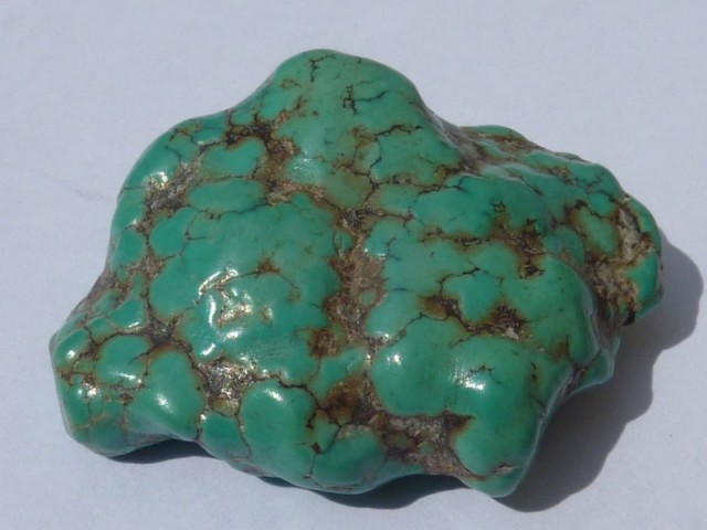turquoise - Patrick Voillot