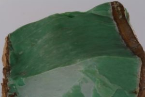 variscite naturale degli Stati Uniti